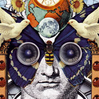 image collage based on the word fly